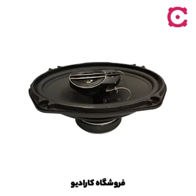 باند پایونیر TS-F690